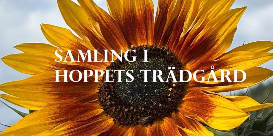 samling i hoppets trädgård 1
